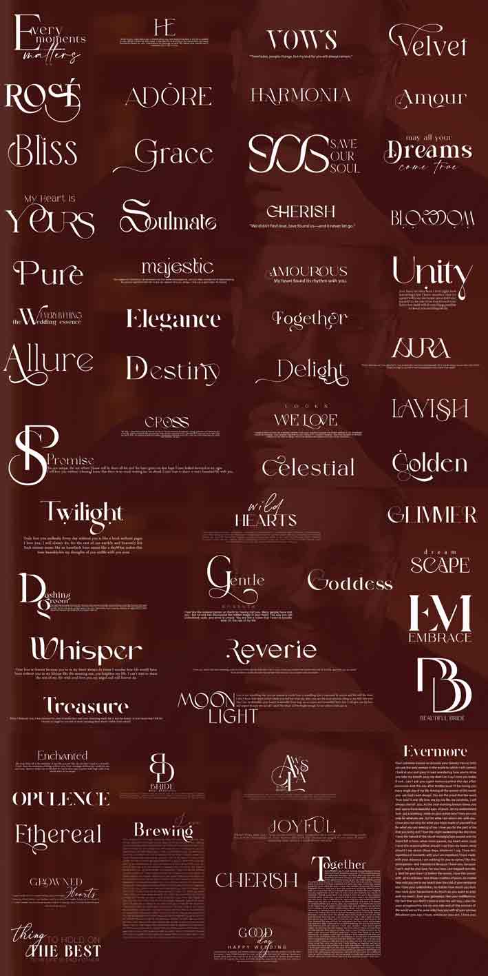 پکیج تکست آلفا